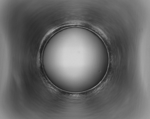 X0000116581172200912171518