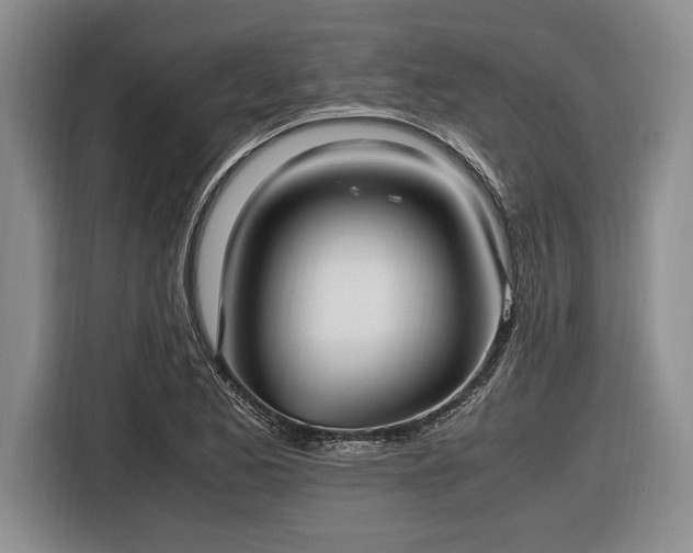 X0000116581173200912171518