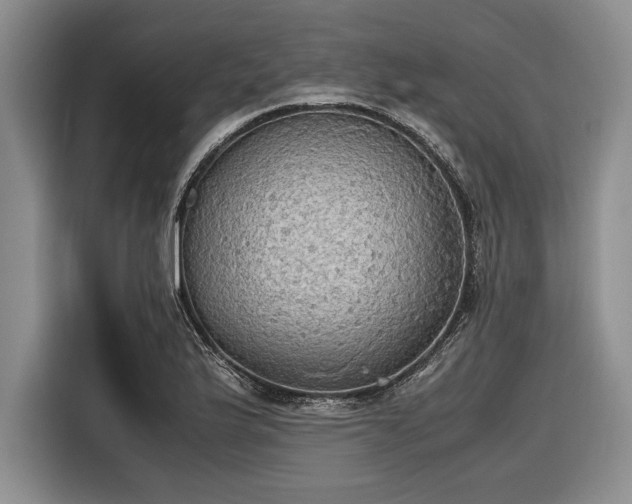 X0000116581175200912171518