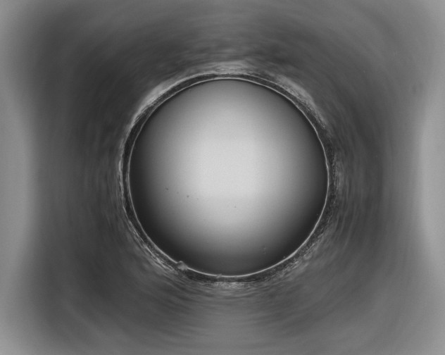 X0000116581176200912171518