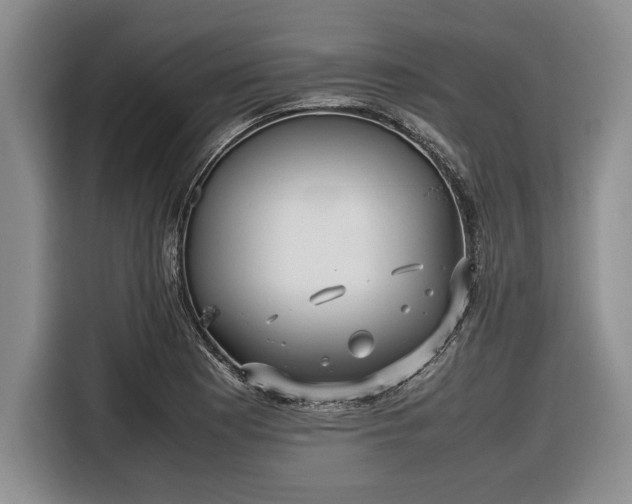 X0000116581177200912171518