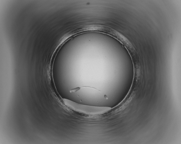 X0000116581178200912171518