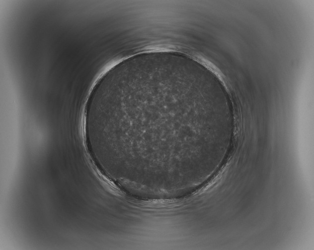 X0000116581179200912171518