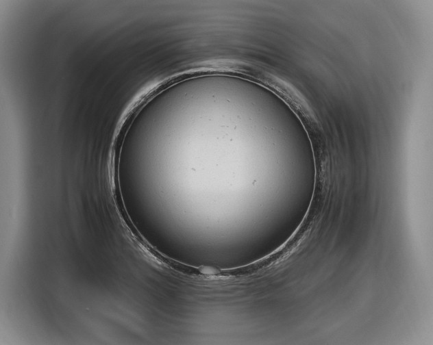 X0000116581180200912171518