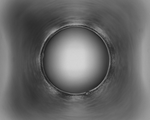 X0000116581181200912171518