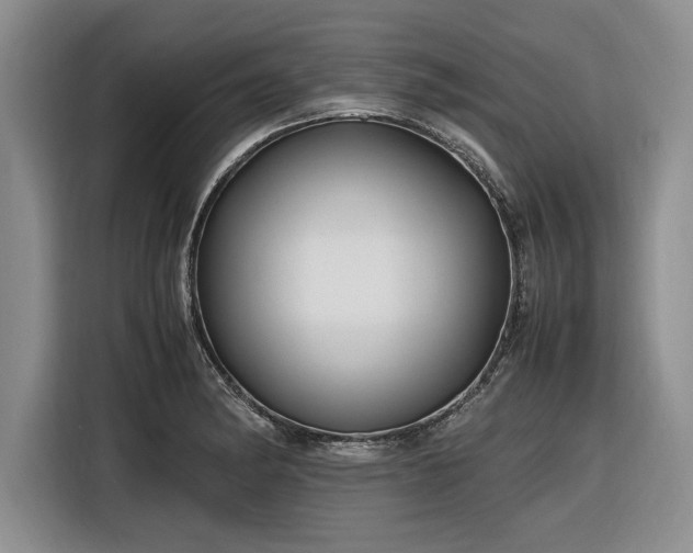 X0000116581182200912171518