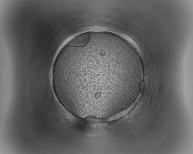 X0000116581183200912171518