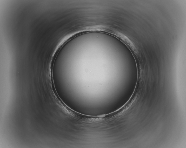 X0000116581184200912171518