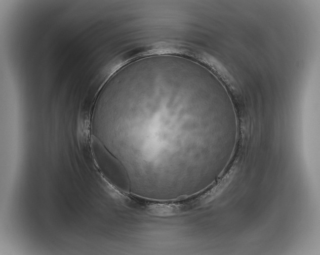 X0000116581185200912171518