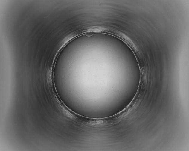 X0000116581186200912171518