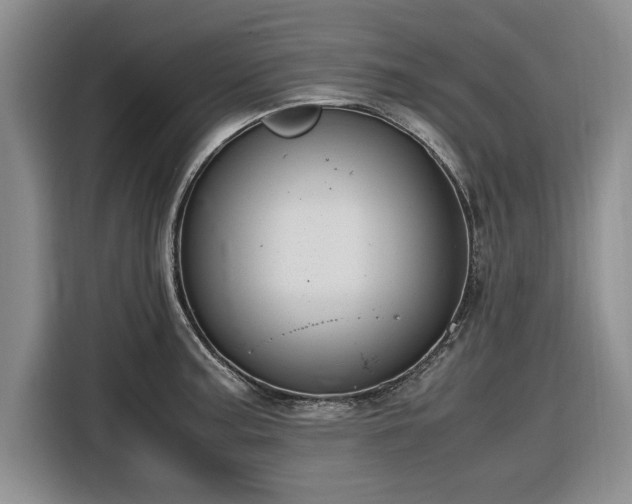 X0000116581187200912171518