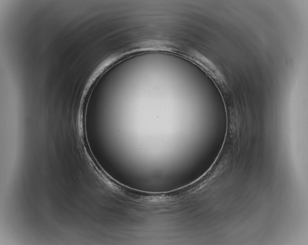 X0000116581188200912171518