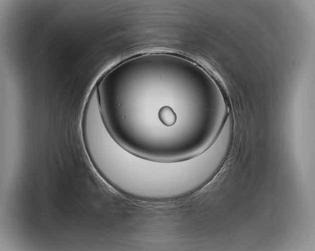 X0000116581189200912171518