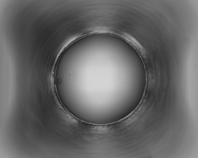 X0000116581190200912171517