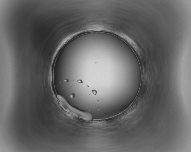 X0000116581191200912171517