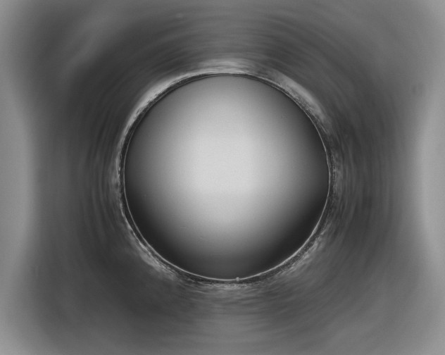 X0000116581192200912171517