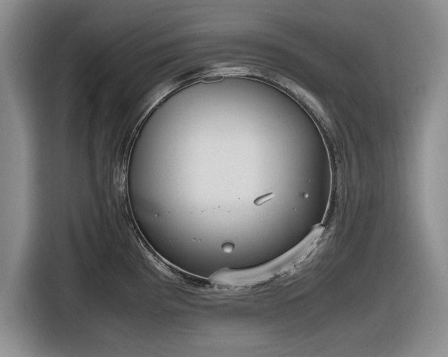 X0000116581193200912171517