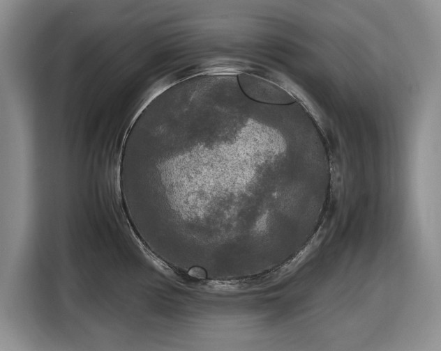 X0000116581194200912171517