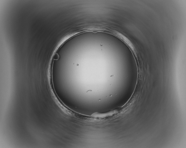 X0000116581195200912171517