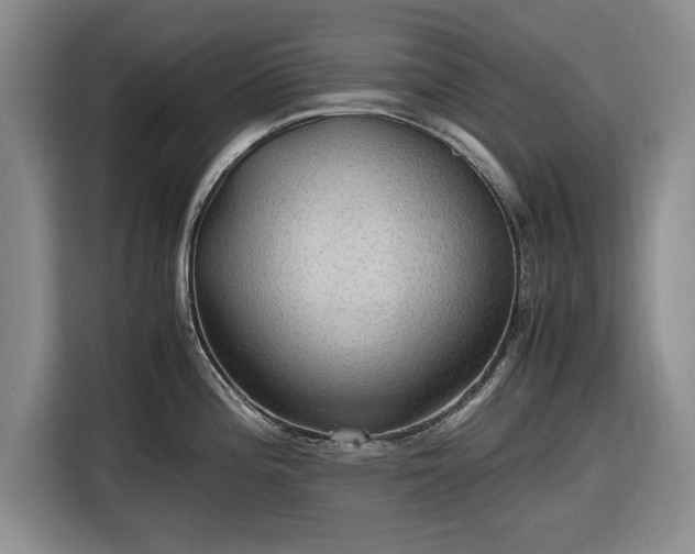 X0000116581196200912171517