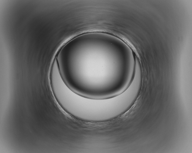 X0000116581197200912171517