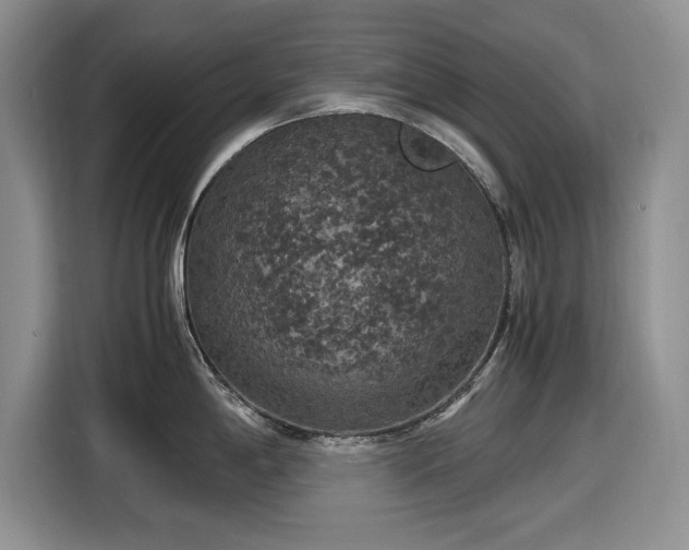 X0000116581198200912171517