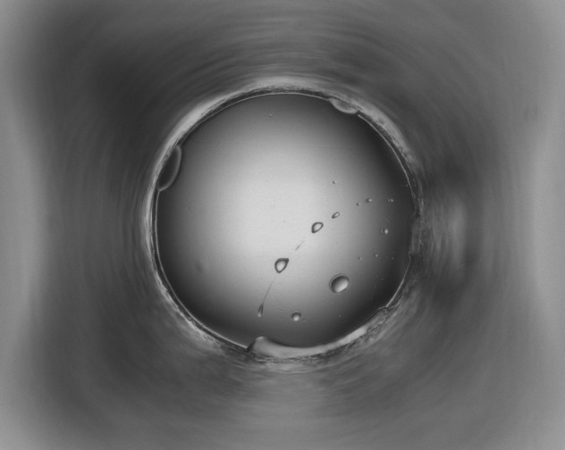 X0000116581199200912171517