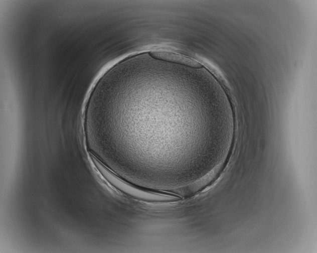 X0000116581200200912171517