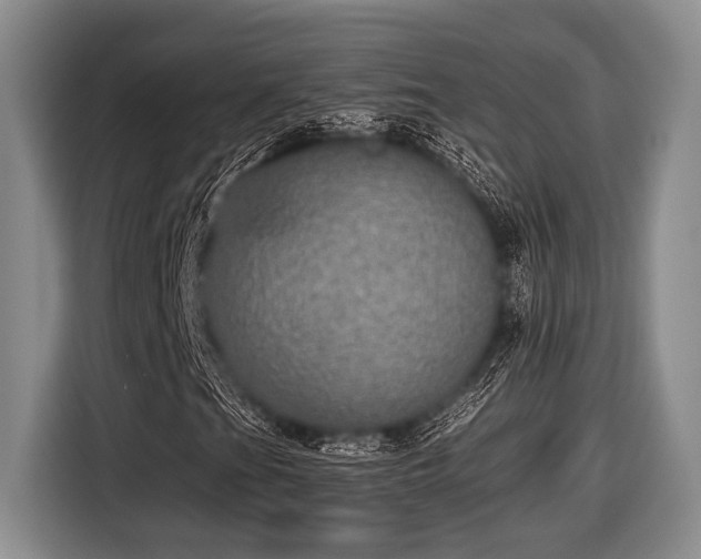 X0000116581201200912171517