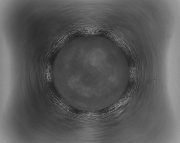 X0000116581202200912171517