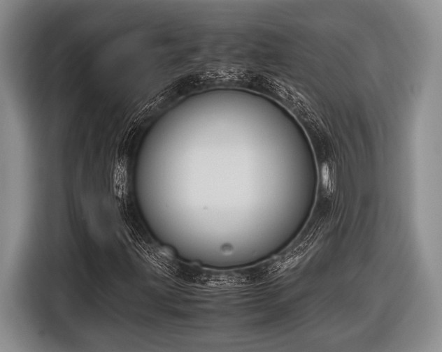 X0000116581203200912171517