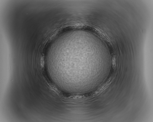 X0000116581204200912171517