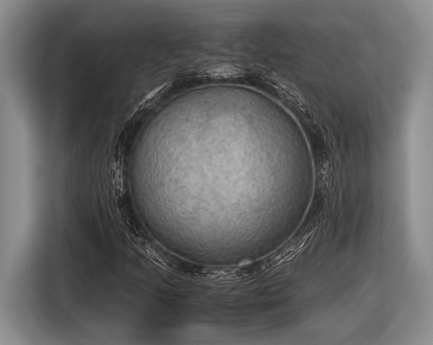 X0000116581205200912171517