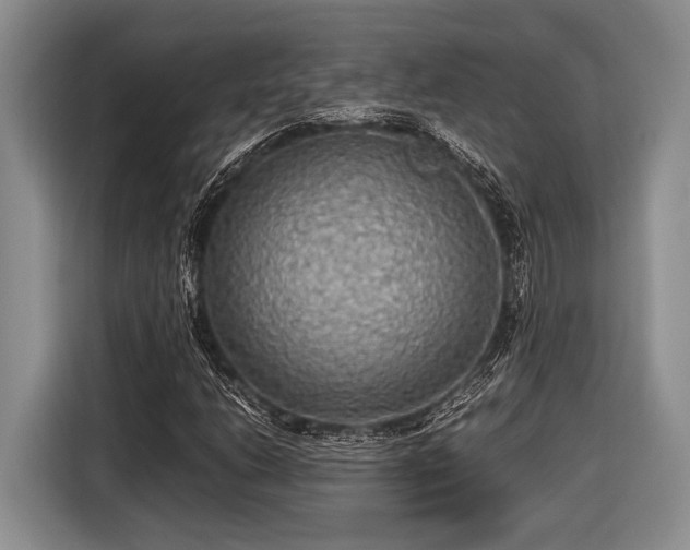 X0000116581206200912171517