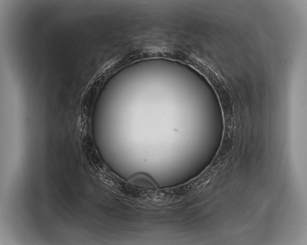 X0000116581207200912171517