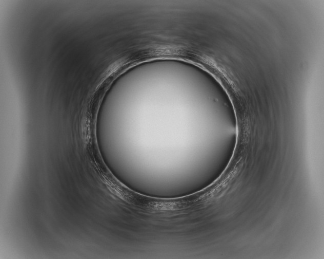 X0000116581211200912171517