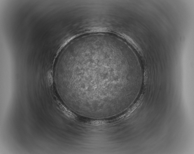 X0000116581212200912171517