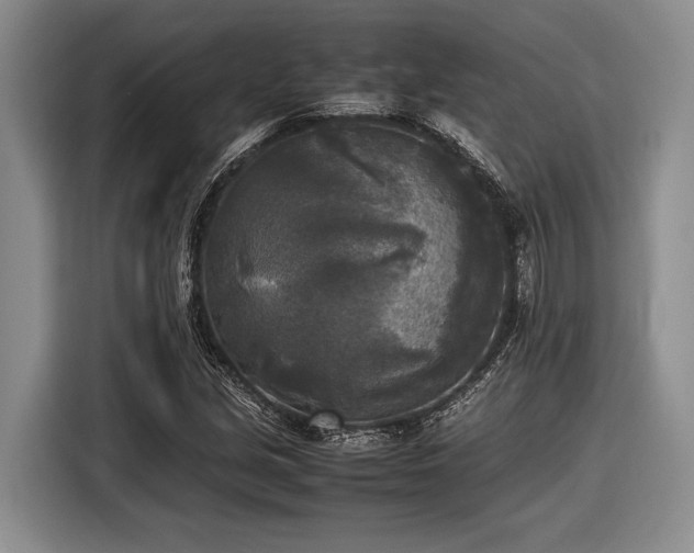 X0000116581213200912171517