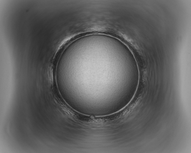 X0000116581214200912171517