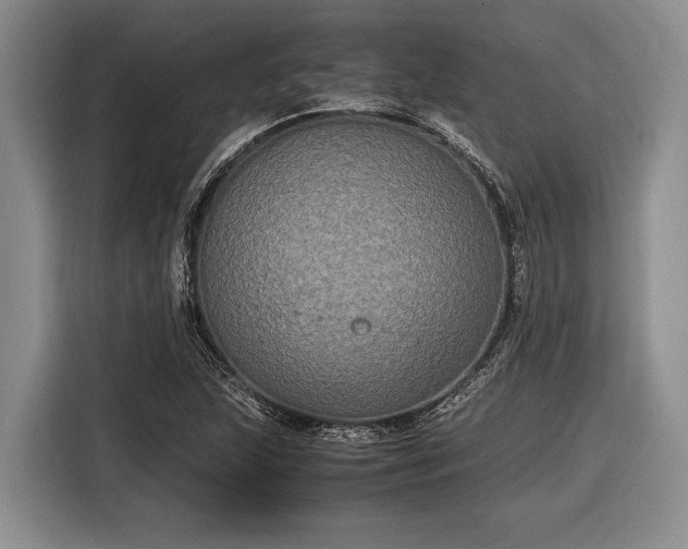 X0000116581215200912171517