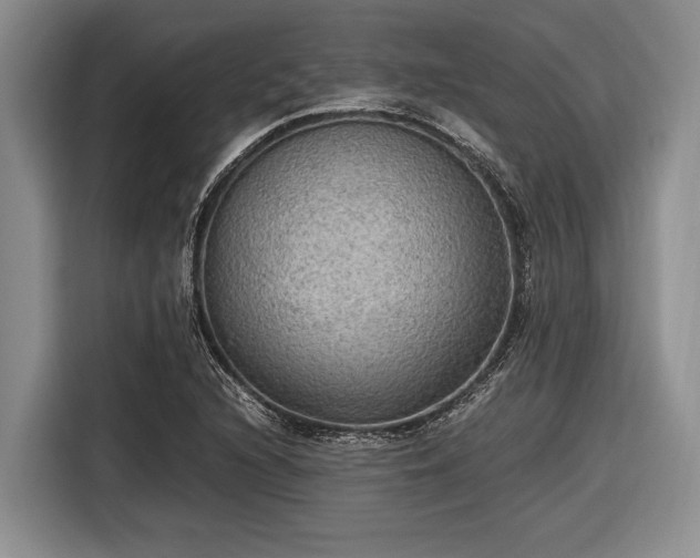 X0000116581216200912171517