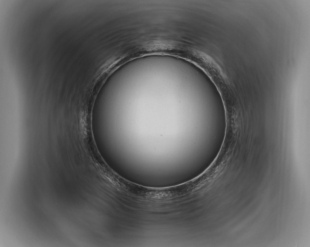 X0000116581217200912171517