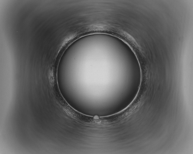 X0000116581218200912171517