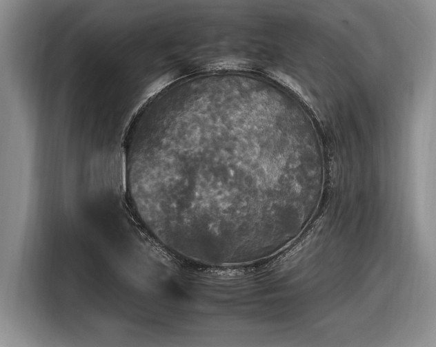 X0000116581219200912171517