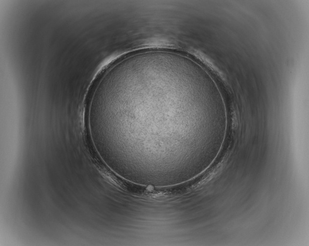 X0000116581222200912171517