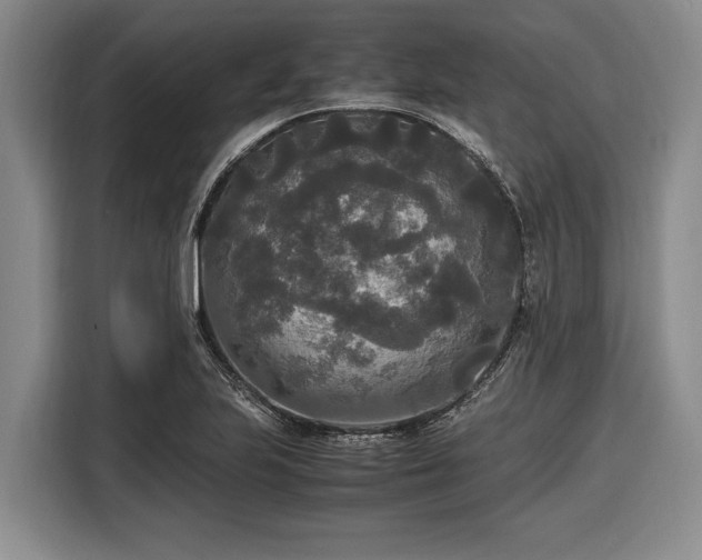 X0000116581223200912171517