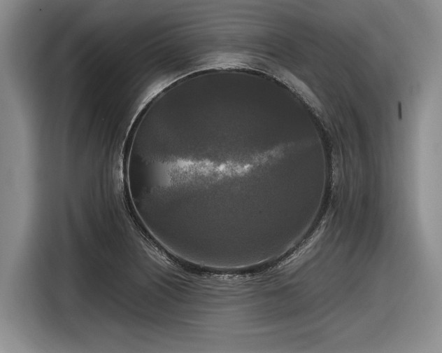 X0000116581226200912171517