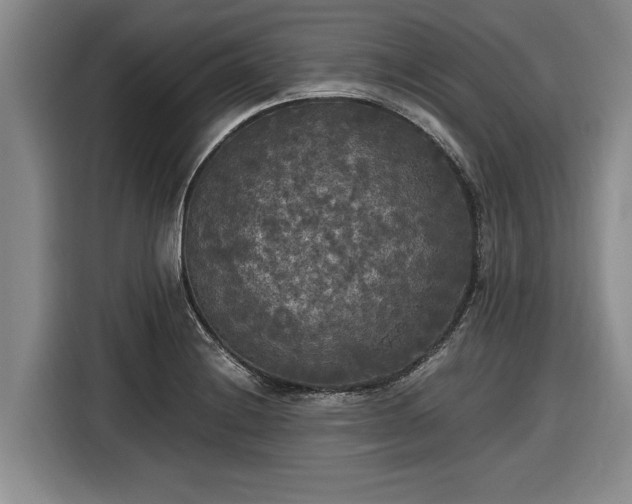 X0000116581228200912171517