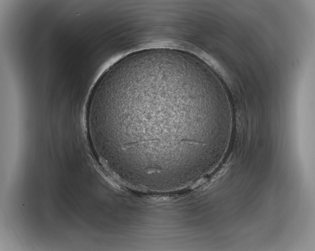 X0000116581230200912171517