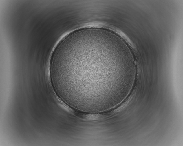 X0000116581232200912171517